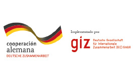 logotipo GIZ