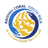 logotipo Raising Coral Costa Rica