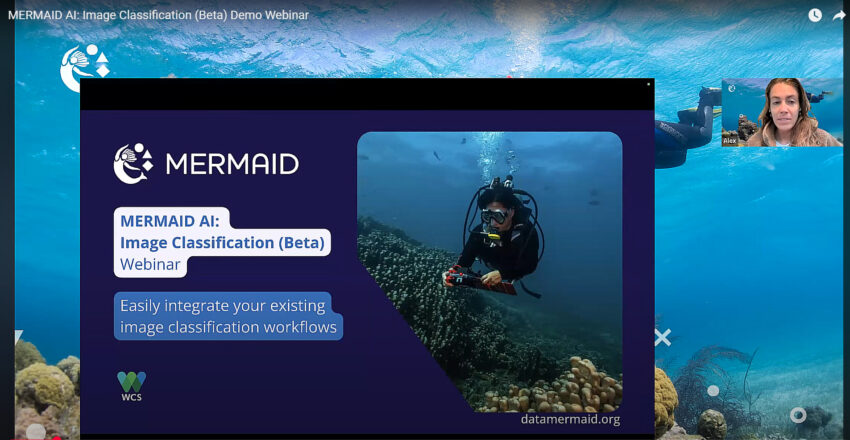 webinar-IA-MERMAID