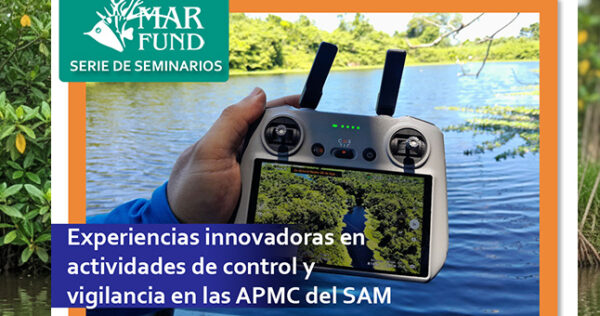 seminario-36-experiencias-innovadoras