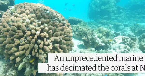 Vee-Brosig-Blue-Media-02