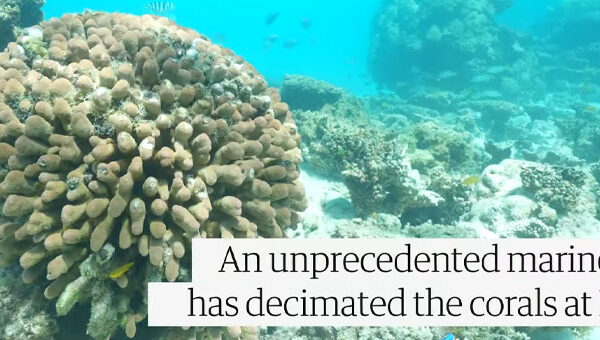 Vee-Brosig-Blue-Media-02 Vee-Brosig-Blue-Media-02