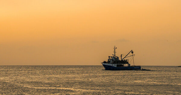 pescadores-pescando-pixabay