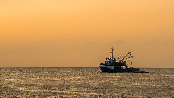 pescadores-pescando-pixabay pescadores-pescando-pixabay