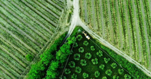 State-of-Finance-for-Nature-2026-UNEP