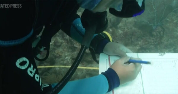 Teresa-de-Miguel-and-Francesco-Spotorno