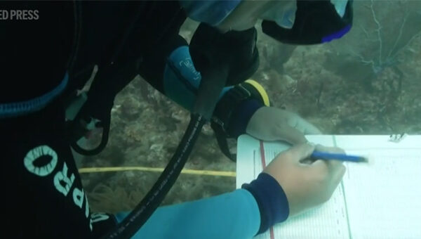 Teresa-de-Miguel-and-Francesco-Spotorno