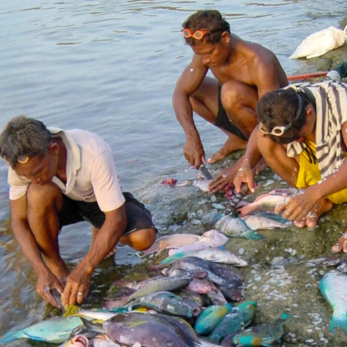 coral-reef-fishing-trip-in-north-sulawesi-indonesia coral-reef-fishing-trip-in-north-sulawesi-indonesia