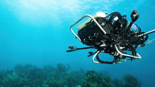 CUREE-Curious-Underwater-Robot-for-Ecosystem-Exploration