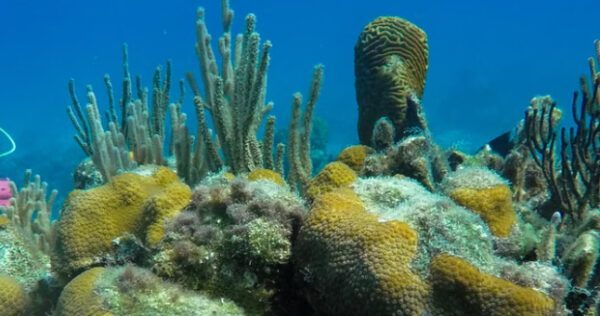 freedivers-leftover-cables-and-bits-of-clay-cuba