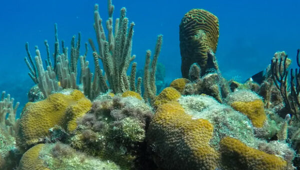 freedivers-leftover-cables-and-bits-of-clay-cuba